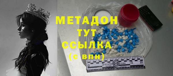 амф Щигры