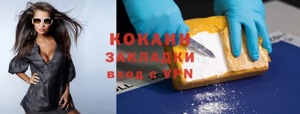 амф Щигры