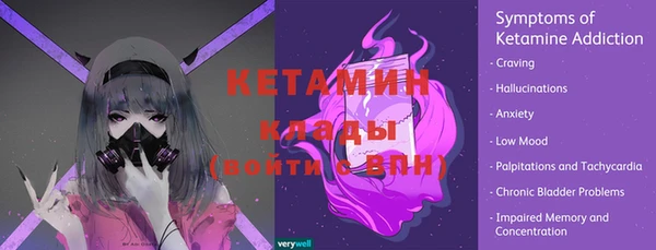 амф Щигры