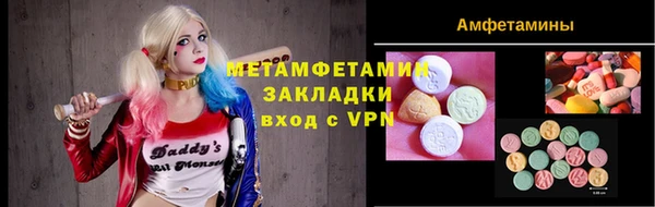 амф Щигры