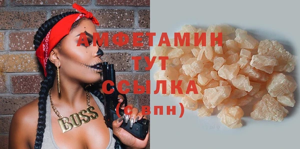 амф Щигры