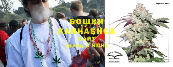амф Щигры