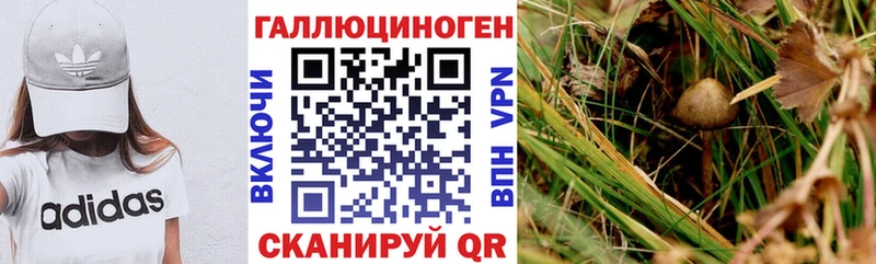 Галлюциногенные грибы ЛСД  Москва 
